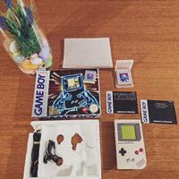 Game boy + tetris