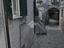 Immagine 23