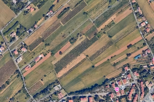 vigneti, terreni agricoli a Gorizia e Oslavia