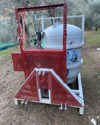 raccolta delle olive