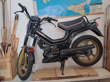 Malaguti fifty top 50