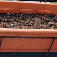 Nr.3 Vasi fioriere per balcone