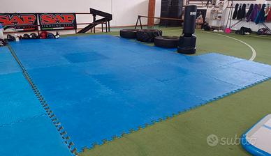 Tatami 