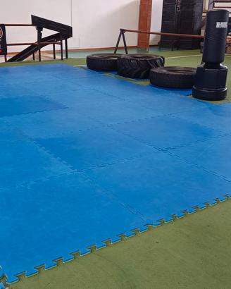 Tatami 
