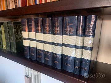 Grande dizionario italiano dell’uso De Mauro