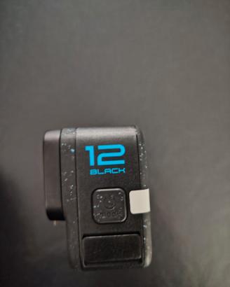 Go pro 12 hero