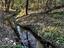Immagine 16