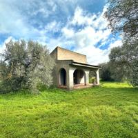 Ulivetto Fabricato e Pozzo Artesiano