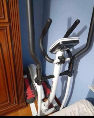 elittica professionale 