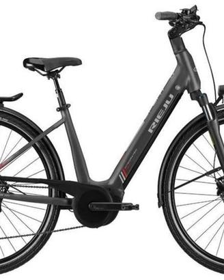 E-BIKE trekking Bosch CX 750Wh Smart System KIOX