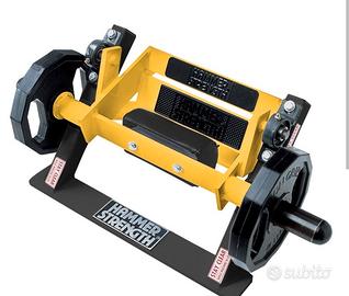 hammer strength tibia machine 