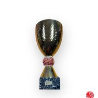 trofeo coppa premio