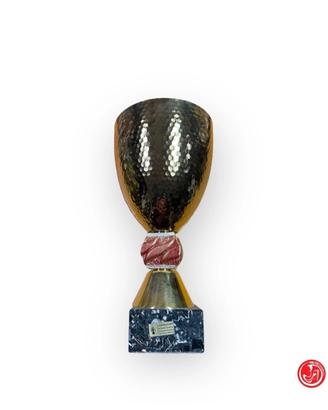 trofeo coppa premio