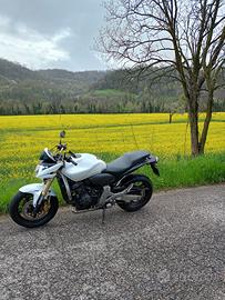 Honda Hornet
