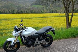 Honda Hornet