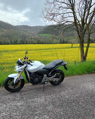 Honda Hornet