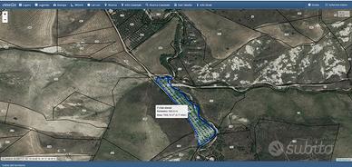 Terreno agricolo uliveto