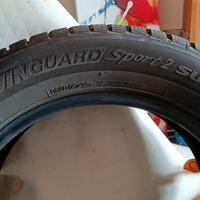 Pneumatici invernali Nexen 