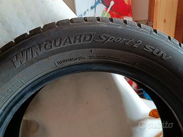 Pneumatici invernali Nexen 