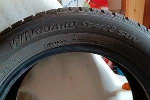 Pneumatici invernali Nexen 