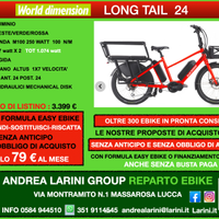 Ebike City World Dimension Long Tail, 2 batterie