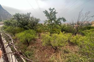 Terreno agricolo Zona Bonagia