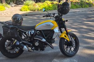 Ducati Scambler Icon 800 gialla  +  accessori
