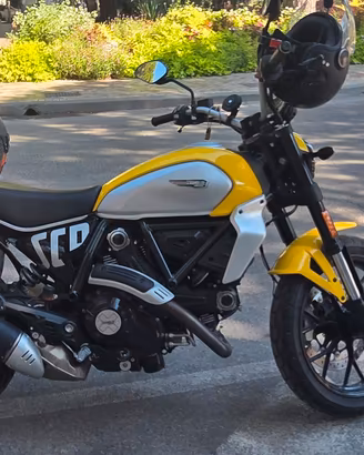 Ducati Scambler Icon 800 gialla  +  accessori