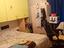 Immagine 5