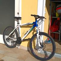 BICI Torpado T582 light pro