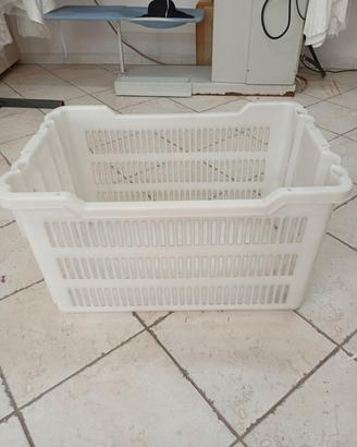 ceste in plastica rigida 
