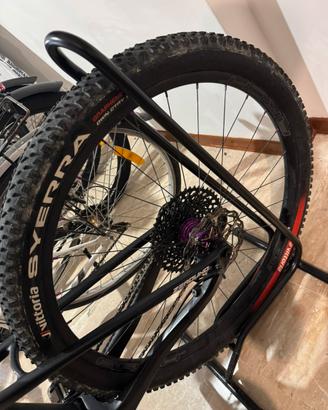 Ruote damil 29 mtb