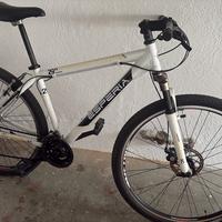 Biciletta ESPERIA 29