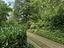 Immagine 20