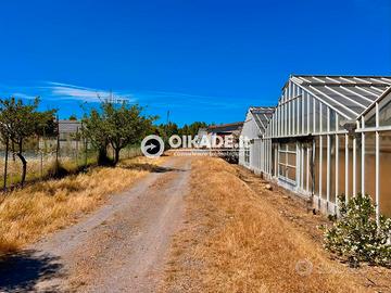 Pula Loc. Baustella - Terreno agricolo con serre