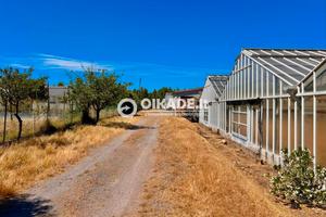Pula Loc. Baustella - Terreno agricolo con serre