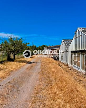 Pula Loc. Baustella - Terreno agricolo con serre