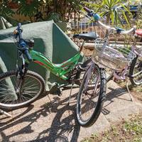 Coppia di biciclette