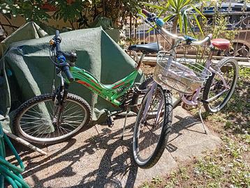 Coppia di biciclette