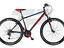 Immagine 2