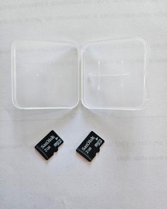 2 Schede microSd SandDisk da 2 GB