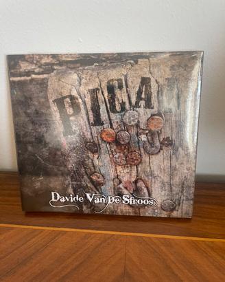 Davide Van De  Sfroos - Pica