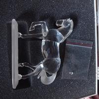 cavallo Swarovski