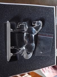cavallo Swarovski