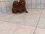 Immagine 5