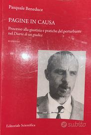 Pagine in caus. Pasquale Beneduce