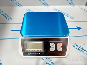 Bilancia Elettronica