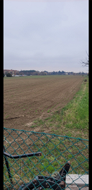 Terreno agricolo 2 ettari e 20
