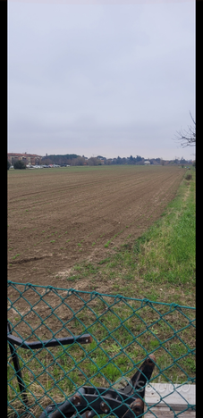 Terreno agricolo 2 ettari e 20