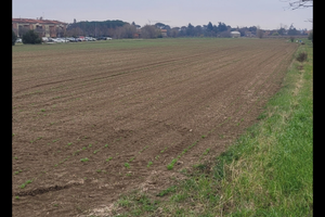 Terreno agricolo 2 ettari e 20